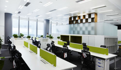 看準(zhǔn)網(wǎng) 網(wǎng)絡(luò)科技開(kāi)發(fā)的領(lǐng)航者與變革者